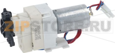 ELECTRIC PUMP MOTOR 12/24V 