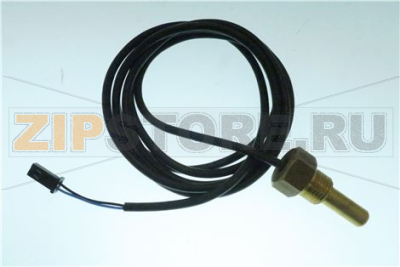 BOILER TEMPERATURE PROBE 
