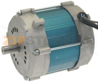 MOTORE 220V 60Hz