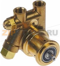 PUMP 100GPH BRASS W/250 