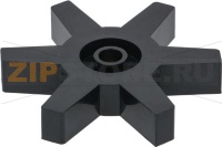 НИЖНЯЯ ЗВЕЗДОЧКА