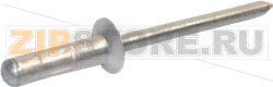 RIVET 4.8 X 17 TF ALU 
