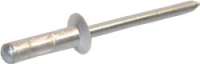 RIVET 4.8 X 17 TF ALU