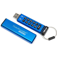 Накопитель USB 16 Гб Kingston DT2000-16GB