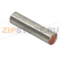 Магнит круглый для датчика контакта двери 10x40 Rational Classic /C-/CPC-l.61-102 начиная с 01/96