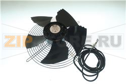 FAN R] D.300 