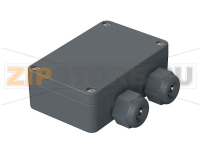 Корпус с быстродействующим затвором и с двумя литыми PG 11, 98x64x34 мм Bopla PK 102-211 SV