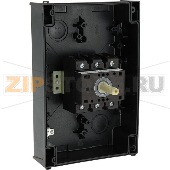 Выключатели главные, P3, 63 A, монтаж на поверхность, 3-полюсн Eaton P3-63/I4/SVB 