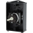 Выключатели главные, T0, 20 A, 1 модуль, 1-полюсный Eaton T0-1-8200/I1/SVB - Выключатели главные, T0, 20 A, 1 модуль, 1-полюсный Eaton T0-1-8200/I1/SVB