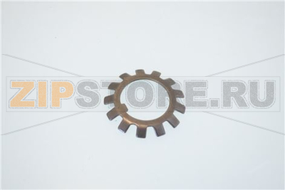 LOCKNUT 