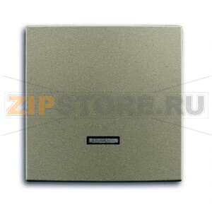 Клавиша для светорегулятора ABB 2CKA006599A2993 