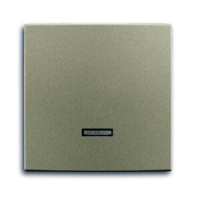 Клавиша для светорегулятора ABB 2CKA006599A2993