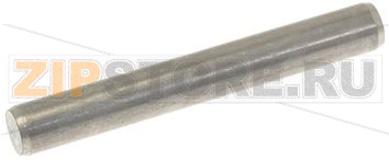 SPINA INOX ø 4x30 mm 