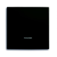 Клавиша для светорегулятора ABB 2CKA006599A2994