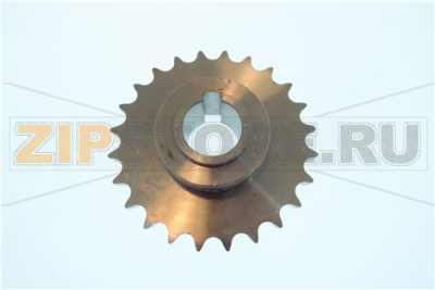 PIGNONE Z24 1/2S 20 30 40 E/P 