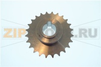 PIGNONE Z24 1/2S 20 30 40 E/P