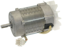 MOTORE V WING 250/350V