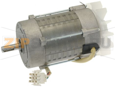 MOTORE V WING 250/350V 