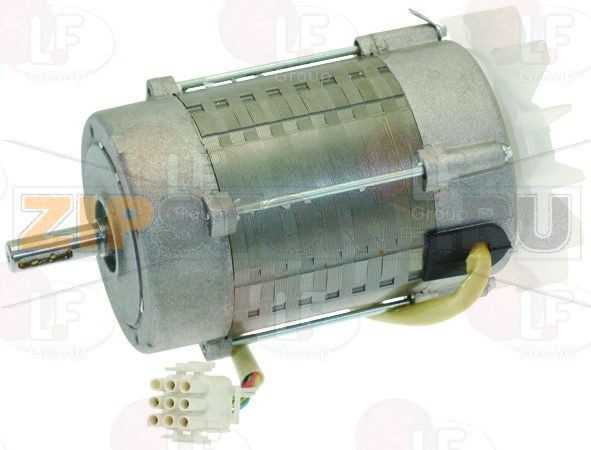 MOTORE V WING 250/350V 