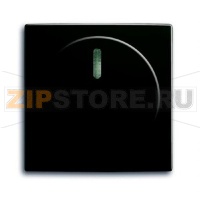 Накладка с поворотной ручкой ABB 2CKA006599A2991