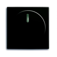 Накладка с поворотной ручкой ABB 2CKA006599A2991