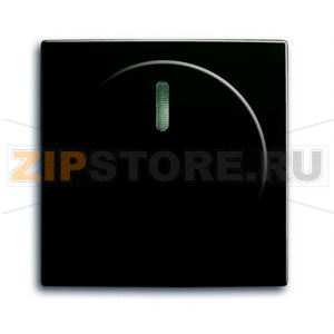 Накладка с поворотной ручкой ABB 2CKA006599A2991 