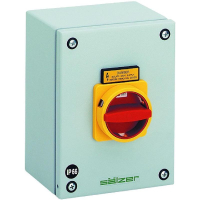 Переключатель кулачковый 80 А, 1x90°, 1 шт Sälzer H408-41300-987N4