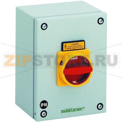 Переключатель кулачковый 80 А, 1x90°, 1 шт Sälzer H408-41300-987N4 