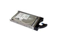 Жесткий диск 1 Тб IBM 81Y9806