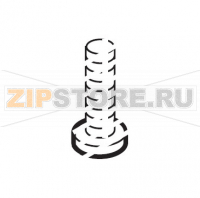 Vite TCBC M4,0x6 UNI 7687 ZNP Saeco Stratos