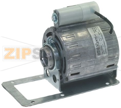 MOTORE 240V 50/60Hz RPM 