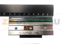 Печатающая термоголовка для DIGI WI-3600