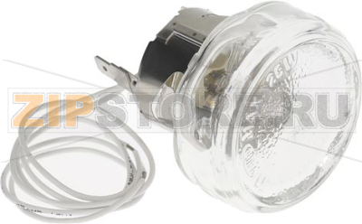 LAMP RECEPTACLE WITH LAMP G4 20W 12V 