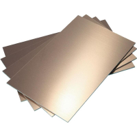 Заготовка для печатной платы 35 мкм, 160x100 мм, 50 шт Bungard 020306Z33-50