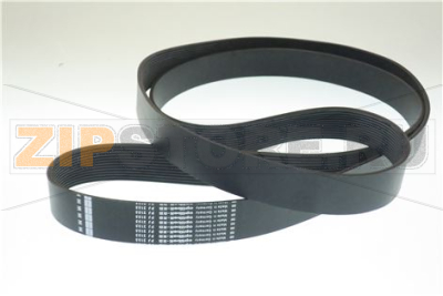 CORREA 13PJ2155 