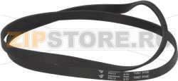 BELT HUTCHINSON 1067 H7 EL 