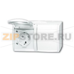 Розетка 16 А, 250 В, IP44, монтаж: открытый, альпийский белый ABB 2CKA002084A0723 