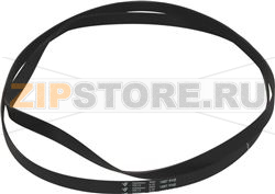 BELT POLY V 1966 H9 