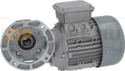 GEAR MOTOR CARPANELLI DP90s4/6 B14R 