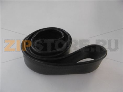 GUARNIZIONE ANELLO PORTA 