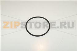 O RING  OR 168  (WRAS FDA) 
