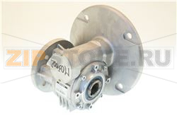 RIDUTTORE MVF49/F1 1:18 PAM80 (GEL4) 