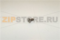 VITE TC  DIN 84 M 4X08