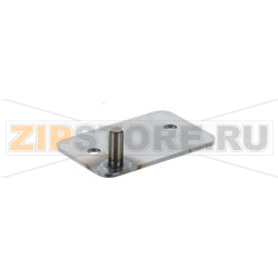 HINGE DOOR - MOQ 48 