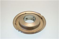 ANLL BRUC RPD NICH PV175N