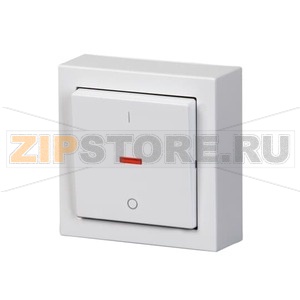 Выключатель двухполюсный, монтаж: накладной, белый ABB 2TKA00001840 