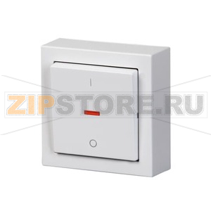 Выключатель двухполюсный, монтаж: накладной, белый ABB 2TKA00001840 