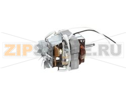 MOTORE, 230V 