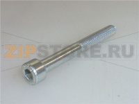 VITE A TESTA CILINDRICA