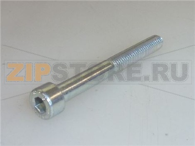 VITE A TESTA CILINDRICA 